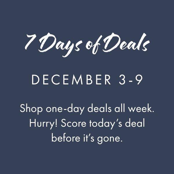 Men's Wrangler® Braided Stretch Belt in Brown