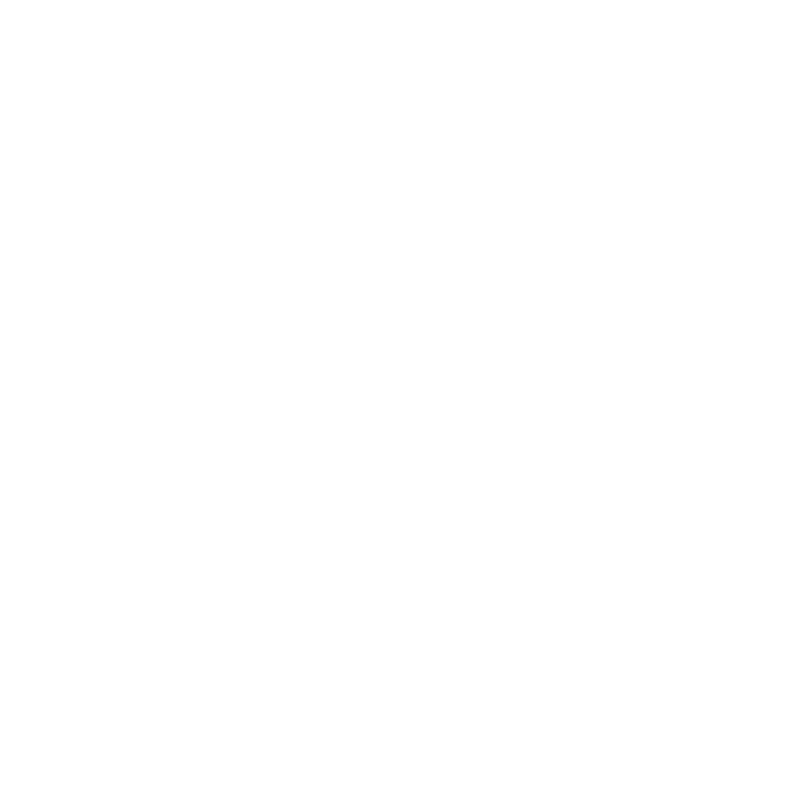 Recycled Polyester