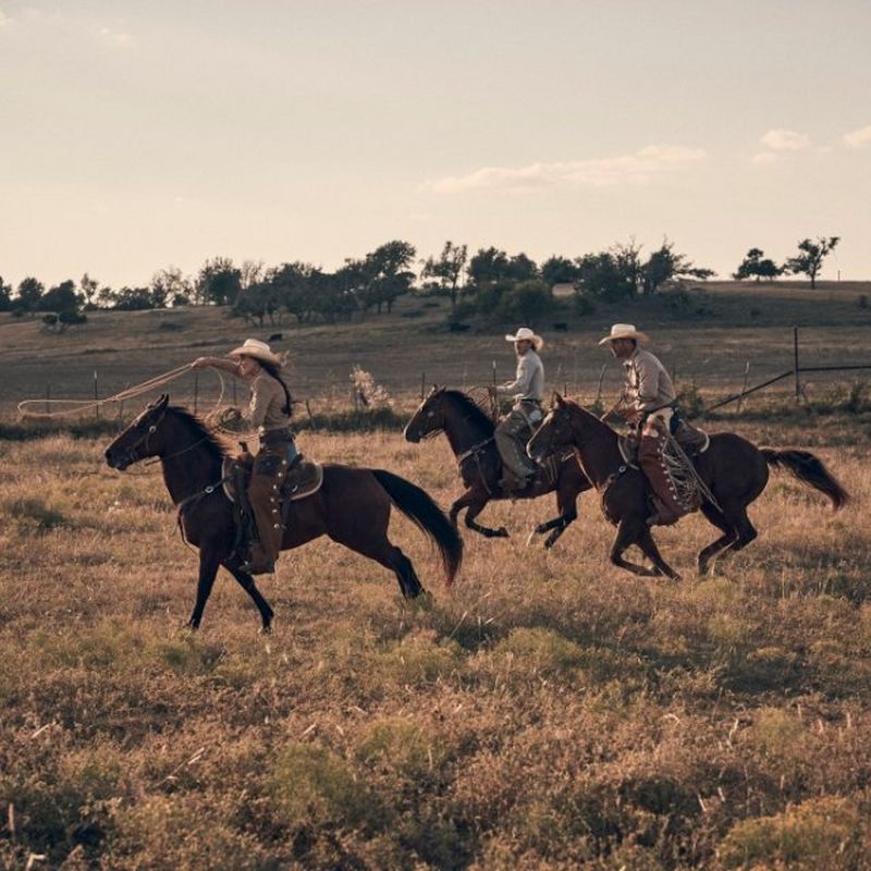 Cowboys sitting on a gate with the sun behind them.