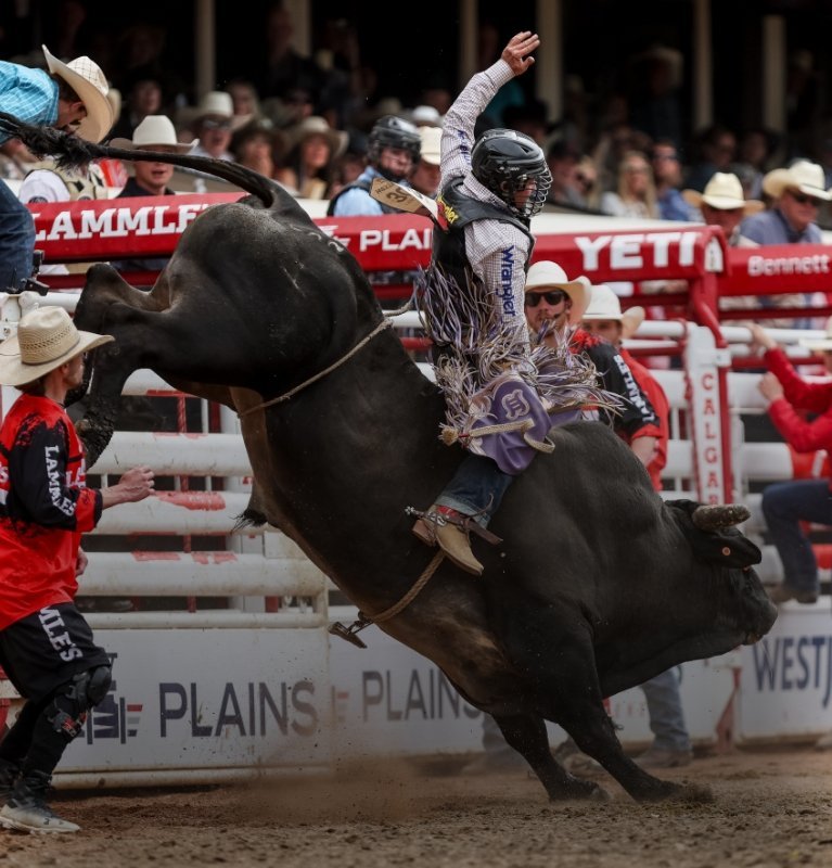 Bull rider competing at the Calgary Stampede rodeo