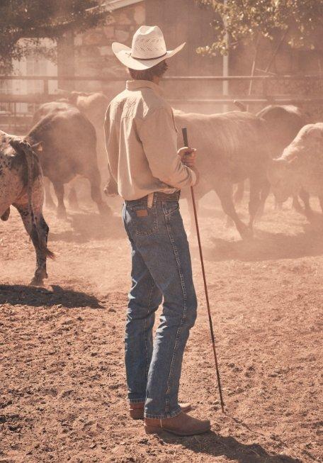 man looking away from the camera standing in the middle of a cattle pen