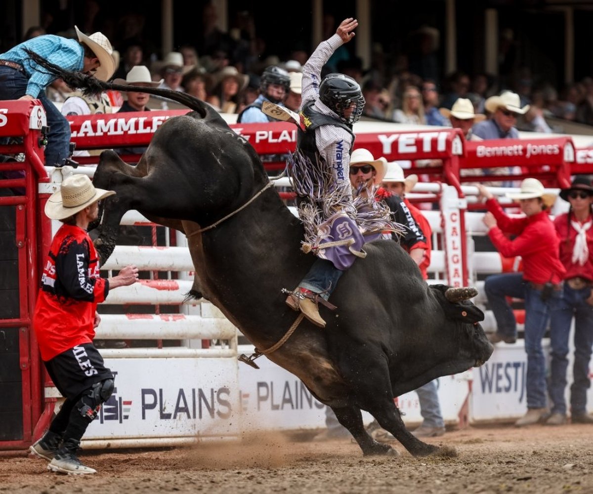 Bull rider competing at the Calgary Stampede rodeo